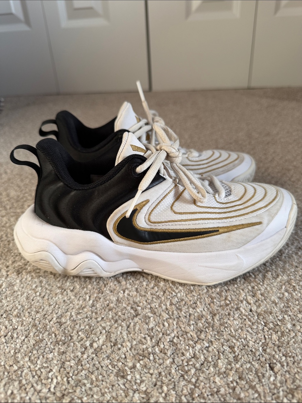 Giannis Nike kids shoes size 1Y